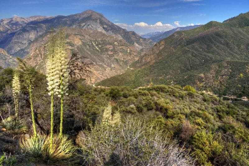 Financiamiento Pre-Asentamiento y Legal del Condado de Fresno