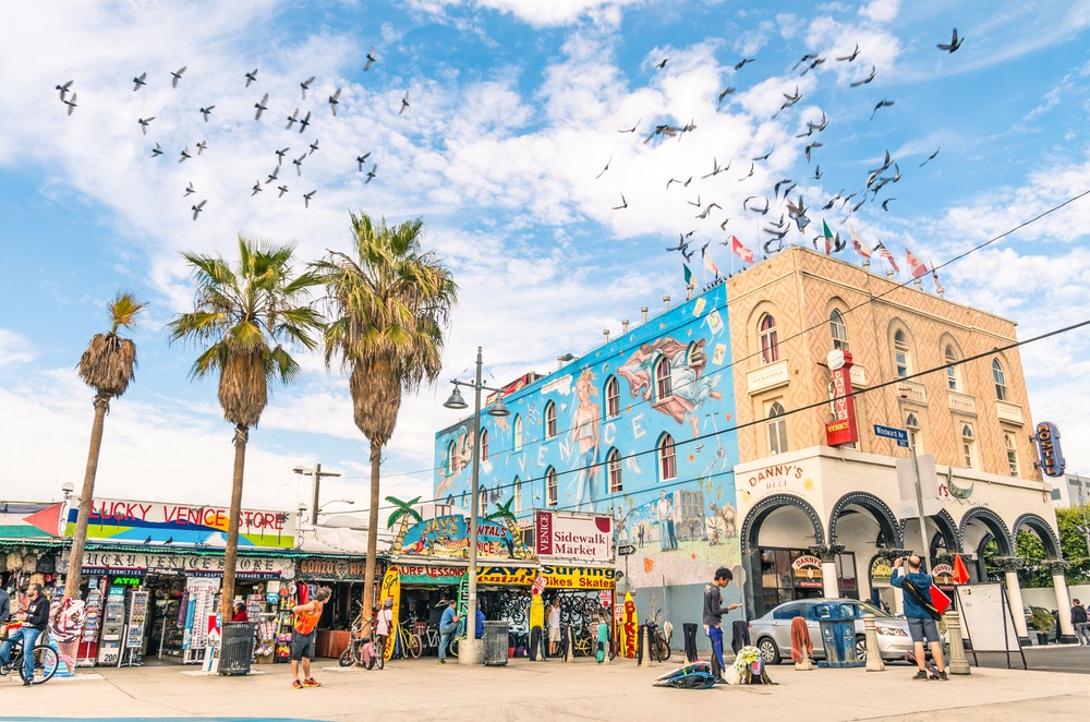 Venice Beach Pre-Settlement and Legal Funding