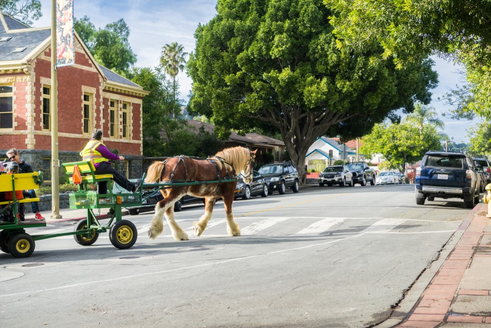 San Luis Obispo Pre-Settlement and Legal Funding