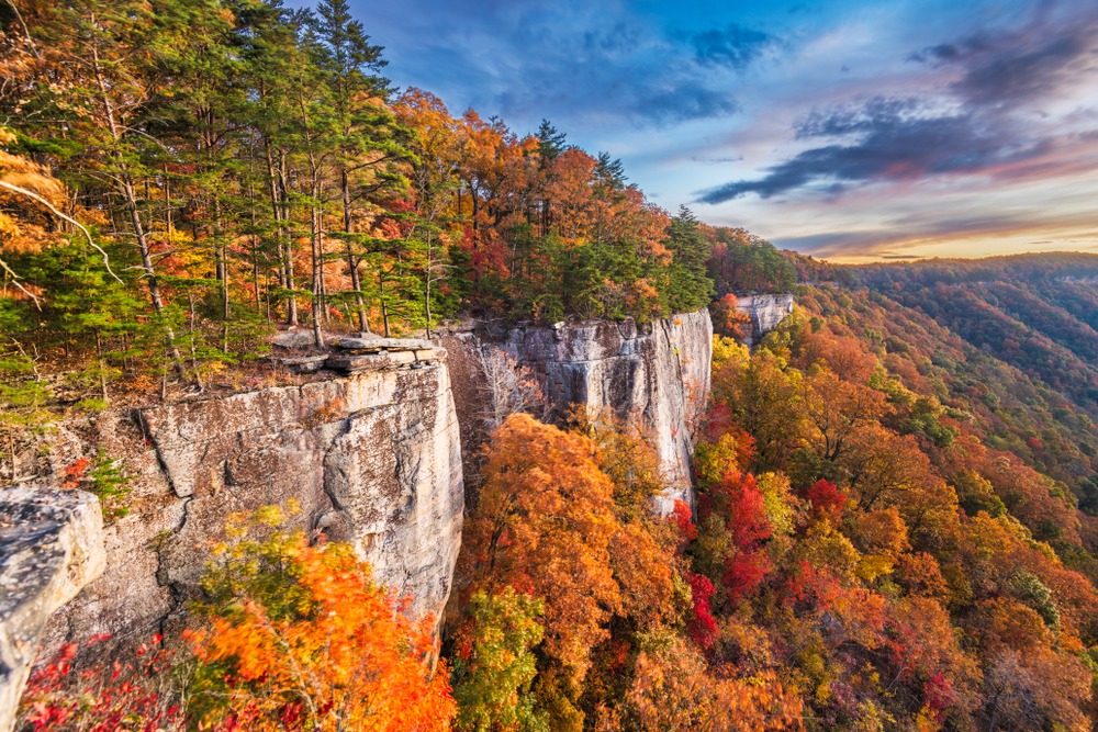 West Virginia Pre-Settlement and Legal Funding