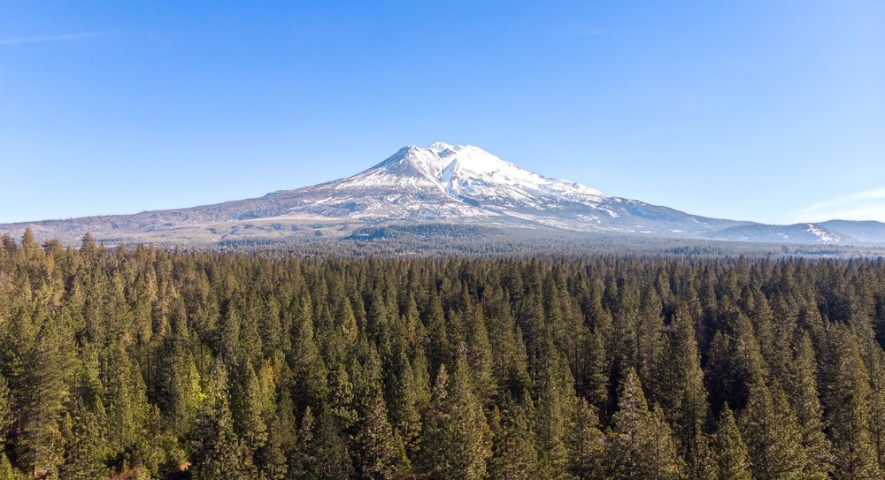 Trinity County Pre-Settlement and Legal Funding